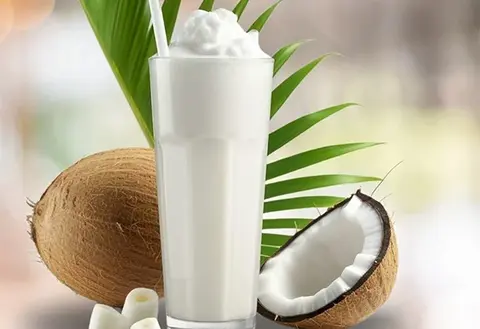 Coconut Milkshake