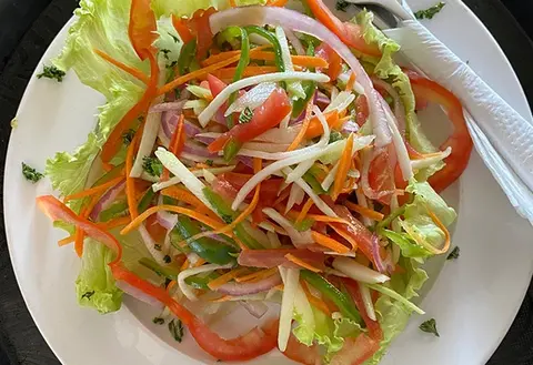 Vegetable Garden Salad