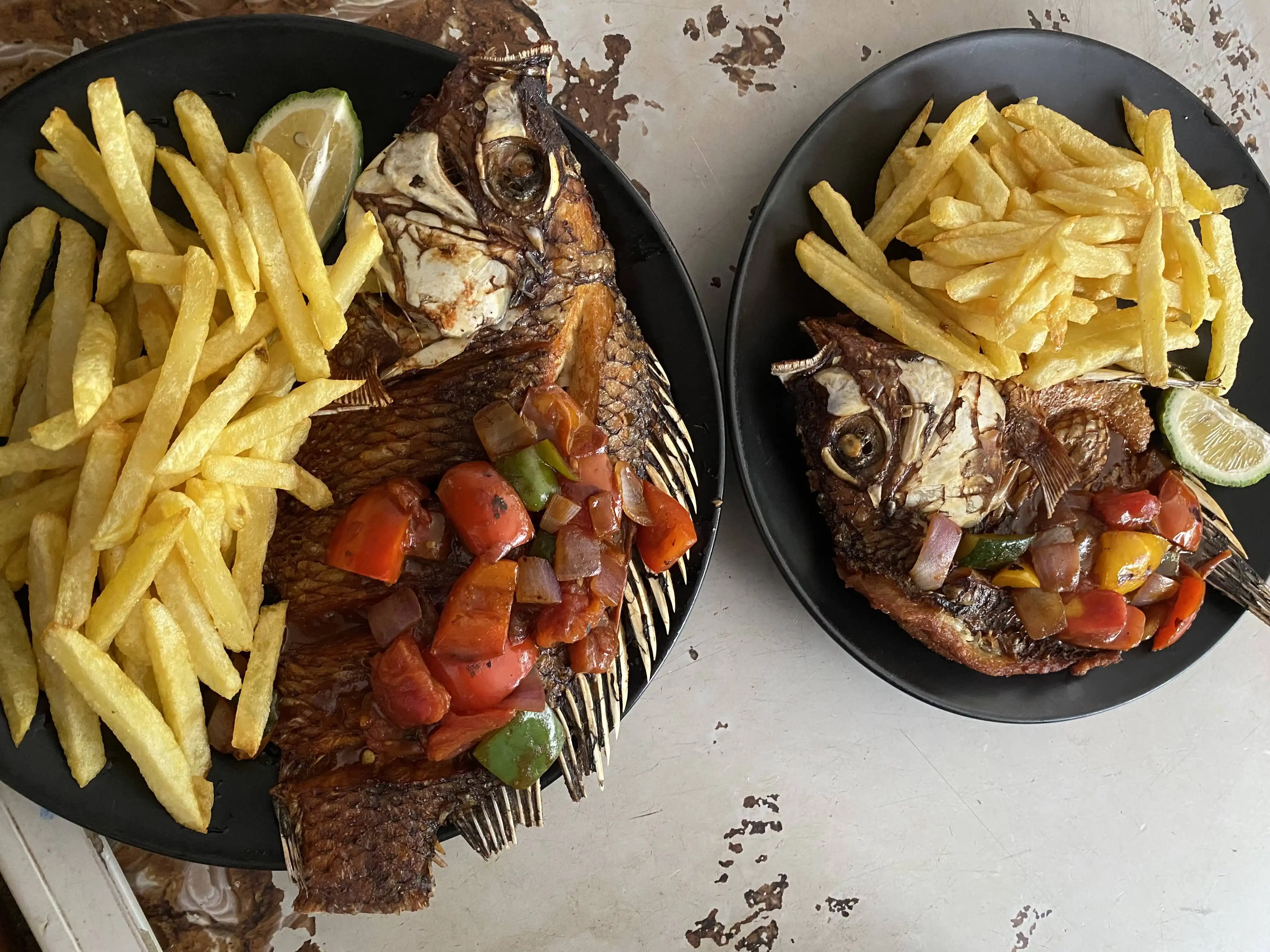 Fresh Fish, Every Day: Discover the Difference at Café Reze 🐟
